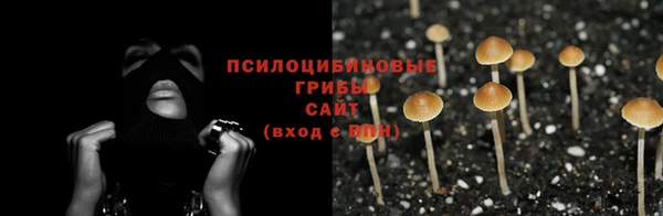 прущая мука Алзамай